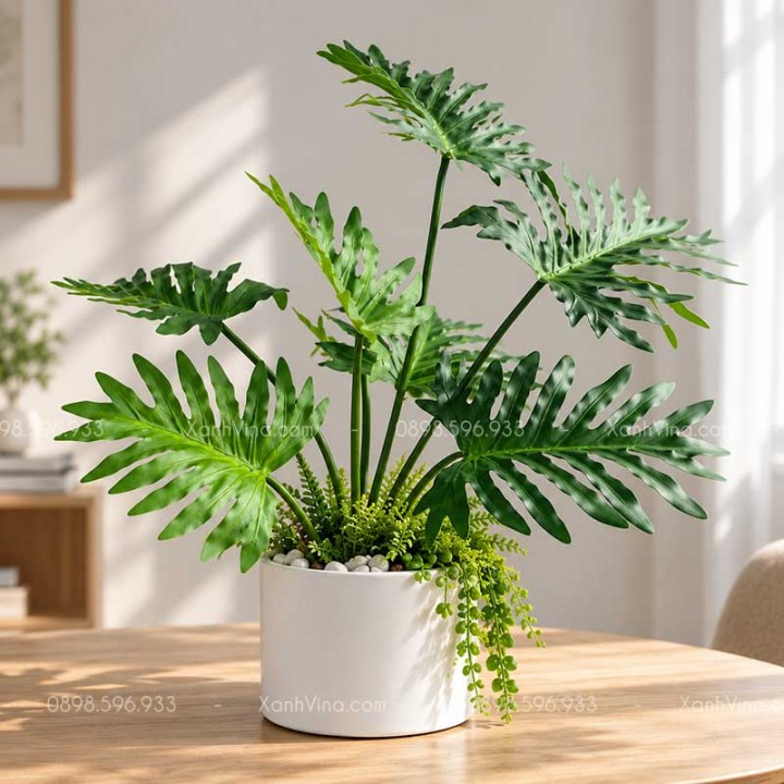 Chậu Monstera Giả Để Bàn 50cm – Chậu Cây Giả Trang Trí Nội Thất